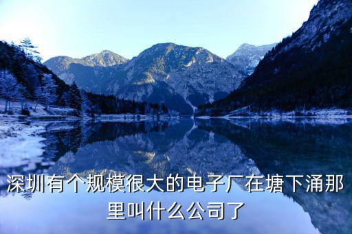 深圳有個規(guī)模很大的電子廠在塘下涌那里叫什么公司了