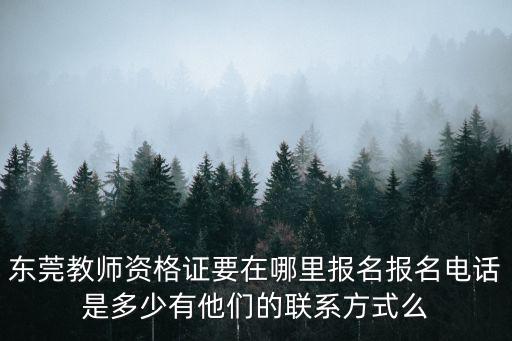 東莞教師資格證要在哪里報名報名電話是多少有他們的聯(lián)系方式么