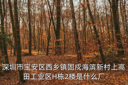 深圳市恒控科技有限公司，深圳市寶安區西鄉鎮固戍海濱新村上高田工業區H棟2樓是什么廠