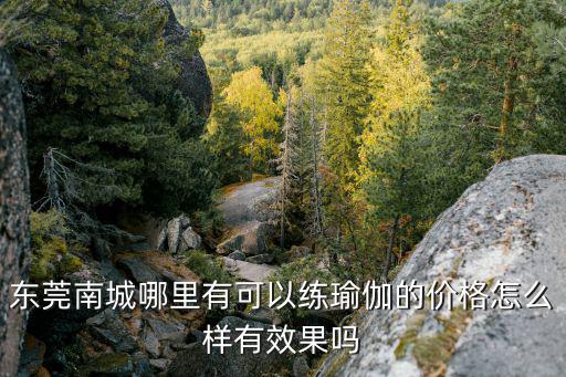 東莞南城哪里有可以練瑜伽的價格怎么樣有效果嗎