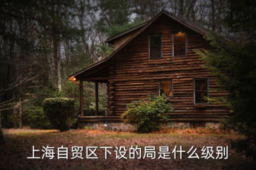 上海自貿(mào)區(qū)下設(shè)的局是什么級別