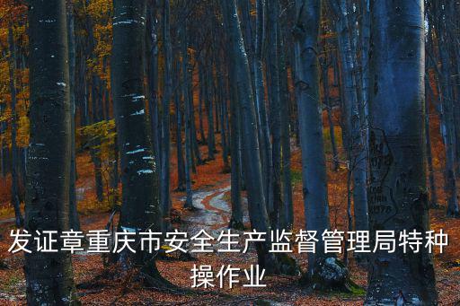 發(fā)證章重慶市安全生產(chǎn)監(jiān)督管理局特種操作業(yè)