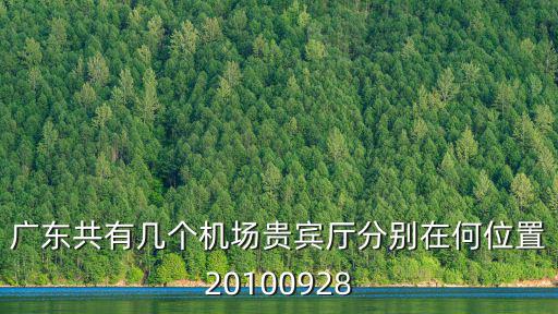 廣東共有幾個機場貴賓廳分別在何位置20100928