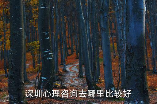 深圳心理咨詢去哪里比較好