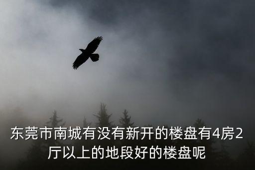 東莞市南城有沒有新開的樓盤有4房2廳以上的地段好的樓盤呢