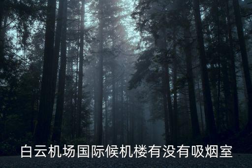 白云機場國際候機樓有沒有吸煙室