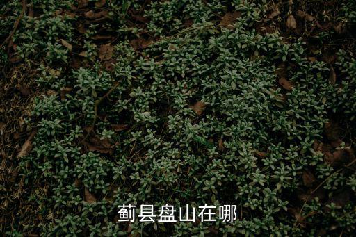 天津市盤山區，天津薊縣盤山