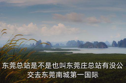 東莞總站是不是也叫東莞莊總站有沒公交去東莞南城第一國際