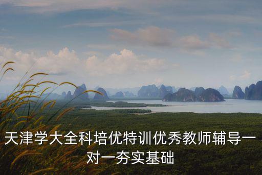 天津市優(yōu)秀規(guī)培學(xué)員，請(qǐng)問天津有多少個(gè)學(xué)大教育的分校天津?yàn)I海新區(qū)的培優(yōu)機(jī)構(gòu)有哪些