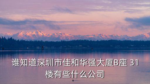 誰知道深圳市佳和華強大廈B座 31樓有些什么公司