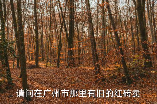 請問在廣州市那里有舊的紅磚賣