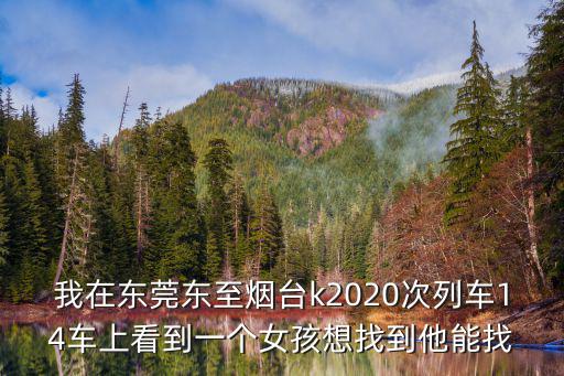 我在東莞東至煙臺k2020次列車14車上看到一個女孩想找到他能找