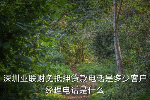 深圳亞聯(lián)財免抵押貸款電話是多少客戶經(jīng)理電話是什么