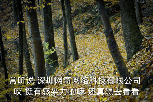 常聽說 深圳網(wǎng)奇網(wǎng)絡科技有限公司 哎 挺有感染力的嘛 還真想去看看