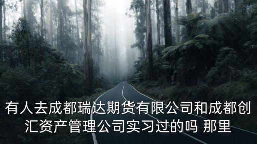 有人去成都瑞達期貨有限公司和成都創匯資產管理公司實習過的嗎 那里