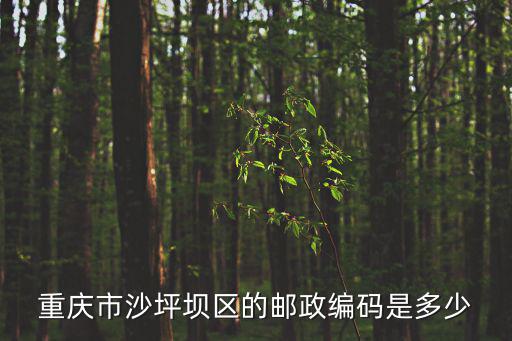 重慶市沙坪壩區(qū)的郵政編碼是多少