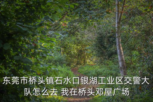 東莞市橋頭鎮(zhèn)石水口銀湖工業(yè)區(qū)交警大隊(duì)怎么去 我在橋頭鄧屋廣場