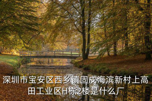 深圳市碩康達科技有限公司，深圳市寶安區(qū)西鄉(xiāng)鎮(zhèn)固戍海濱新村上高田工業(yè)區(qū)H棟2樓是什么廠