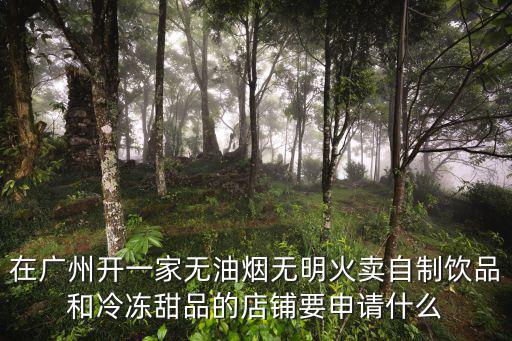在廣州開一家無油煙無明火賣自制飲品和冷凍甜品的店鋪要申請什么