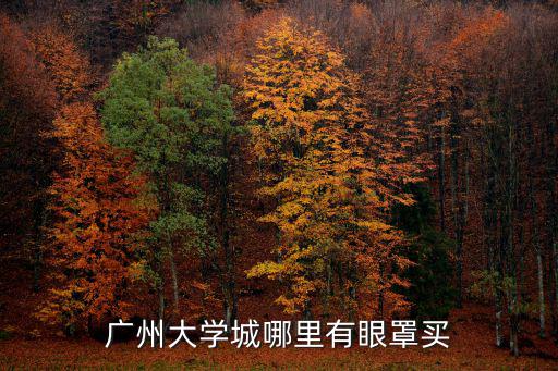 廣州大學(xué)城哪里有眼罩買