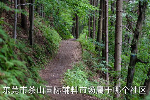 東莞市茶山國際輔料市場屬于哪個社區