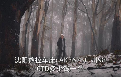 沈陽數控車床cAK3675廣州980TD多少錢一臺