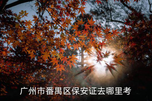 廣州市番禺區保安證去哪里考