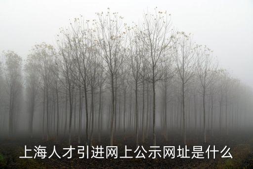 上海人才引進網(wǎng)上公示網(wǎng)址是什么