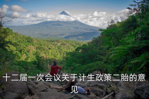 十二屆一次會(huì)議關(guān)于計(jì)生政策二胎的意見