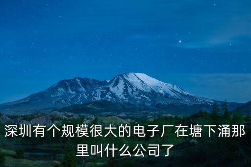 深圳有個規模很大的電子廠在塘下涌那里叫什么公司了