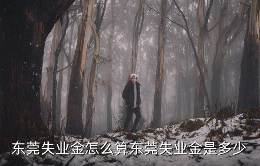 東莞失業金怎么算東莞失業金是多少