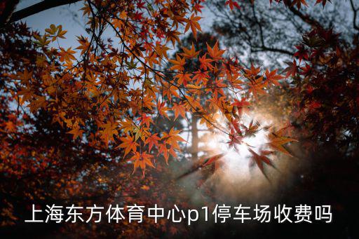 上海東方體育中心p1停車場收費嗎