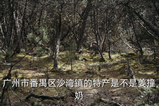 廣州 沙灣區 姜撞奶，廣州市番禺區沙灣鎮的特產是不是姜撞奶