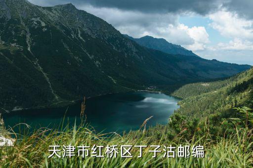 天津市紅橋區丁子沽郵編