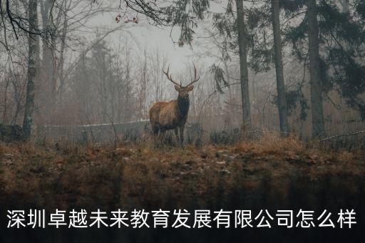 深圳卓越未來教育發展有限公司怎么樣