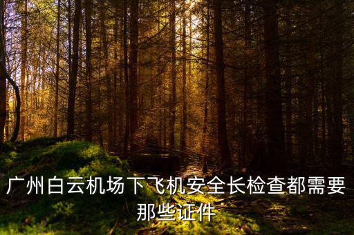 廣州白云機(jī)場外場證，廣州白云機(jī)場下飛機(jī)安全長檢查都需要那些證件