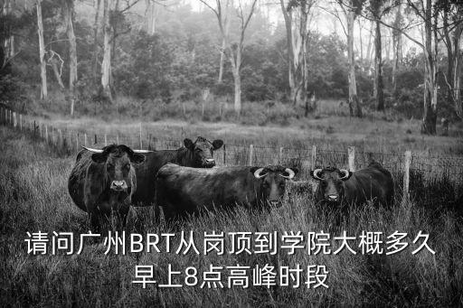 廣州BRT早高峰，廣州BRT早上上班高峰期是什么時間段