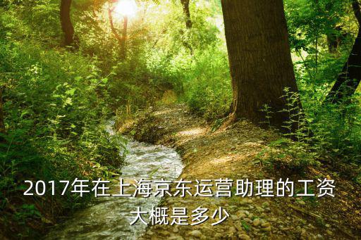 2017年在上海京東運營助理的工資大概是多少