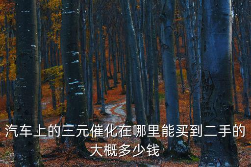 汽車上的三元催化在哪里能買到二手的大概多少錢