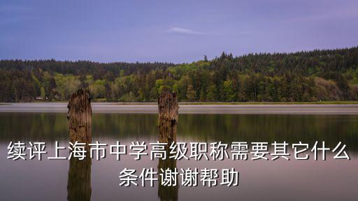 上海市新晉中小學正高職稱，續評上海市中學高級職稱需要其它什么條件謝謝幫助