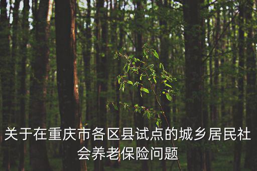 關于在重慶市各區縣試點的城鄉居民社會養老保險問題