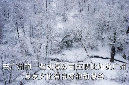 去廣州的一些動漫公司應(yīng)聘比如說廣州漫友文化有良好的動漫繪
