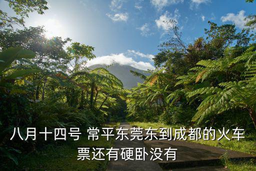 東莞14號新增病例，八月十四號 常平東莞東到成都的火車票還有硬臥沒有