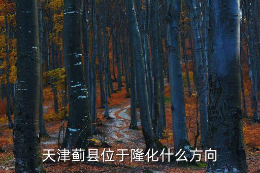 天津薊縣位于隆化什么方向