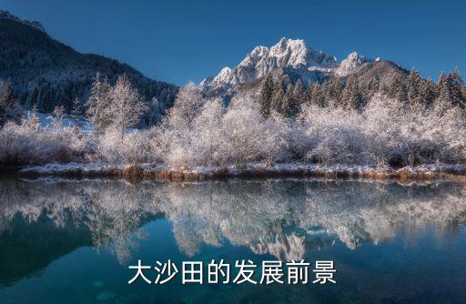 東莞沙田鎮(zhèn)前景如何，大沙田的發(fā)展前景