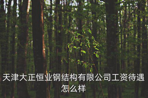 天津大正恒業鋼結構有限公司工資待遇怎么樣