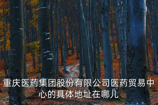 重慶市渝中區(qū)民族路128號，重慶環(huán)球金融中心的地址