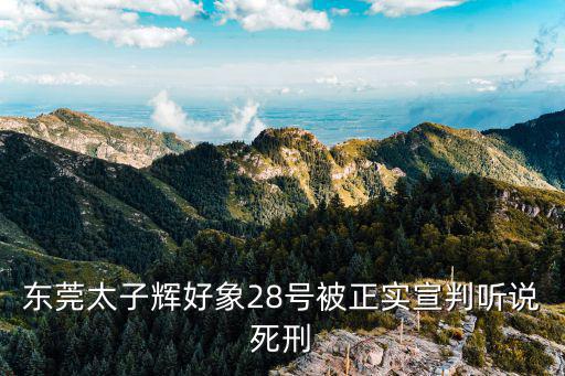 東莞太子輝好象28號被正實宣判聽說死刑