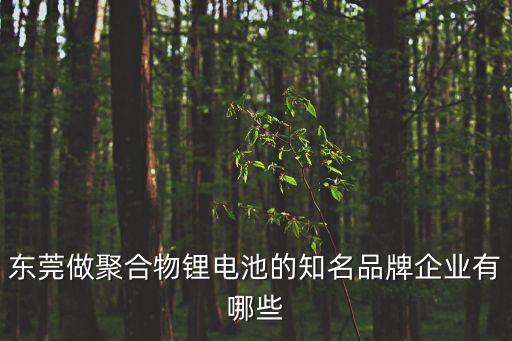 東莞做聚合物鋰電池的知名品牌企業有哪些