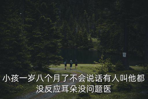 小孩一歲八個月了不會說話有人叫他都沒反應耳朵沒問題醫